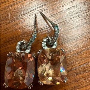 Elegant Silver and Brown Earrings